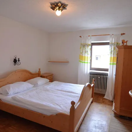 Magnific Holiday In Near Forest