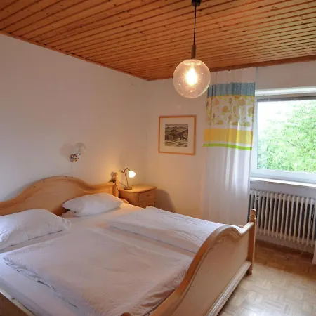 Magnific Holiday In Near Forest