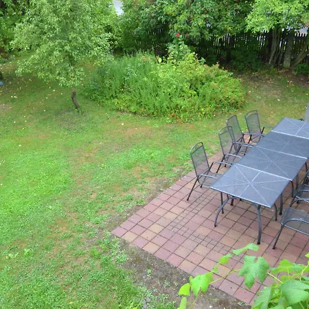 Magnific Holiday In Near Forest